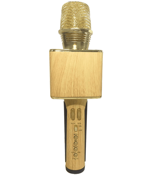 Mic karaoke Bluetooth 2GOOD OK-09