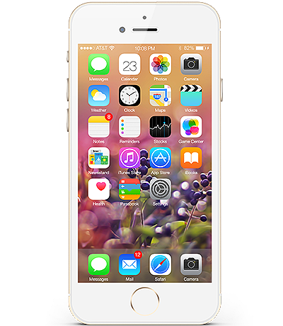 iPhone 6 Plus 16G (A)