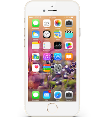 iPhone 6 Plus 16G (A)