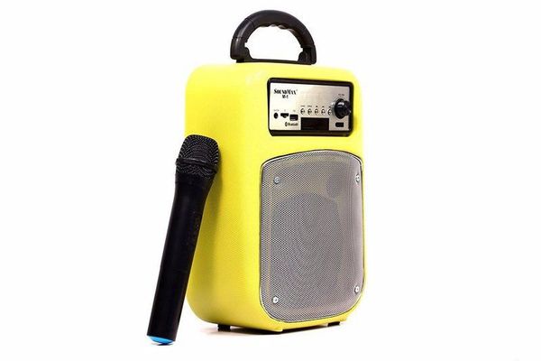 Loa Du Lịch Soundmax M1