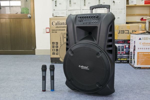 Loa kéo di động CALIANA TN15 + 2 Mic