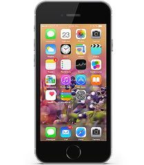 iPhone 6S 16G (A)