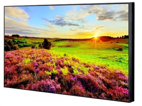 Màn Chiếu Hình Chuyên Dụng Panasonic  TH-49SF2W