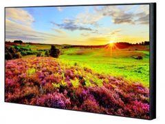 Màn Chiếu Hình Chuyên Dụng Panasonic TH-55SF2W