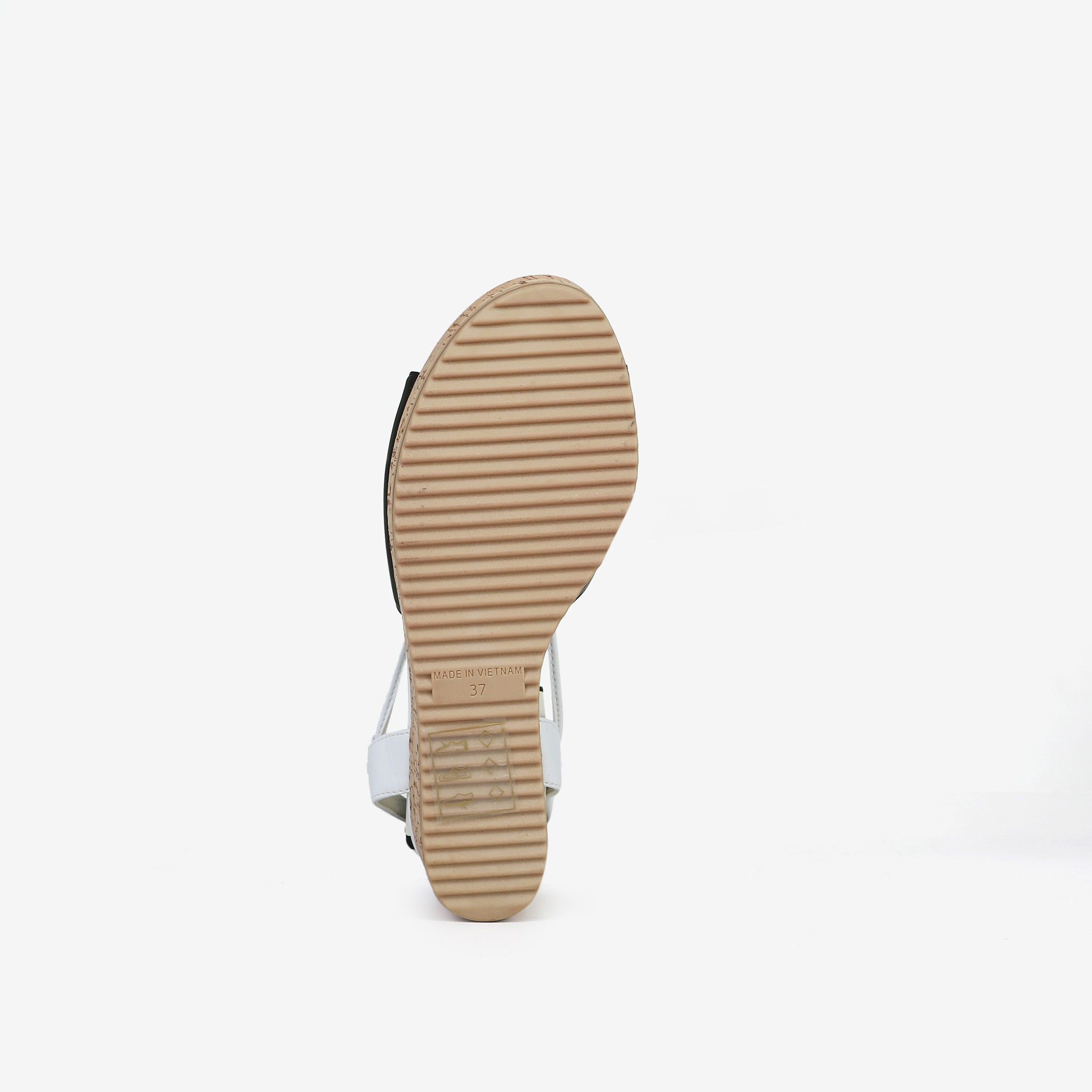 XDX066DENTR