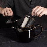 STUDIO TENMOKU - 0.4L TEAPOT WITH INFUSER (BLACK)