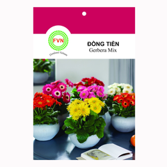 Hạt giống Hoa đồng tiền lùn Gerbera Mix FVN - Gói 5 hạt