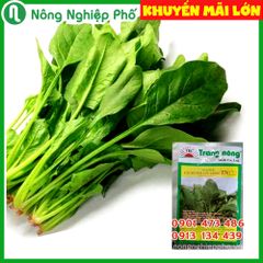 Hạt giống Cải bó xôi cửu long TN 132 - Gói 20 gram