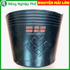 Chậu nhựa mềm (túi bầu ươm cây) trồng cây LD (ĐN)