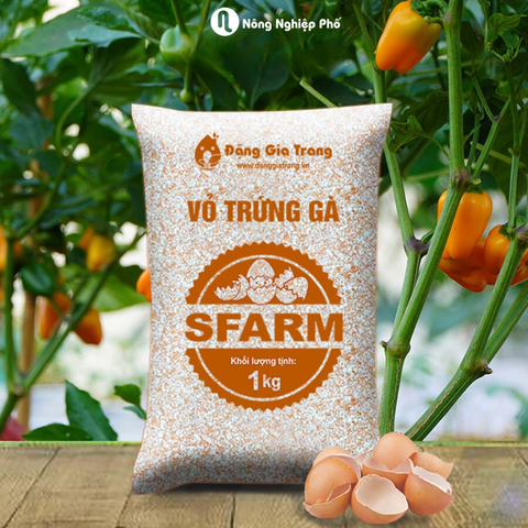 Vỏ trứng gà Sfarm đã qua xử lý - Túi 1Kg