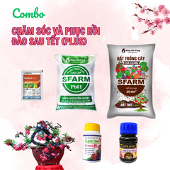 Combo chăm sóc và phục hồi đào sau Tết (Plus) - Tại CH Hà Nội