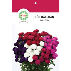 Hạt giống Hoa Cúc Đài Loan cao nhiều màu FVN - Gói 15 hạt