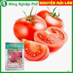 Hạt giống cà chua F1 T-11 PN - Gói 0.1 Gram