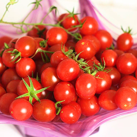 Hạt giống Cà chua bi đỏ FVN - Gói 5 hạt