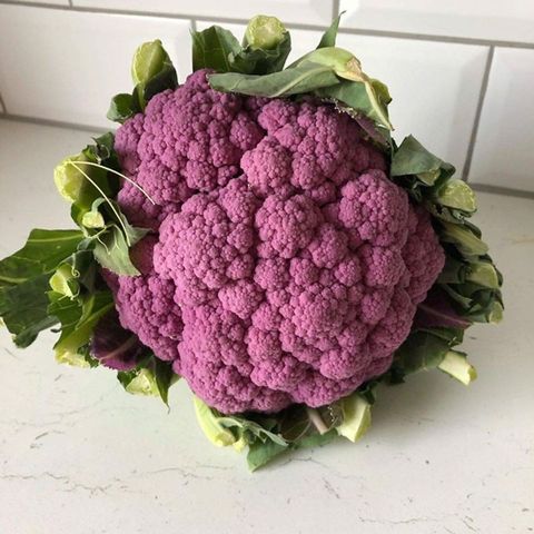 Hạt giống Bông cải tím (Lơ tím) PURPLE CAULIFLOWER 228 Rạng Đông - Gói 1 gram