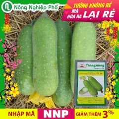 Hạt giống Bí đao chanh Thanh Trúc TN 89 - Gói 20 hạt