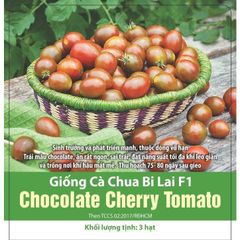 Hạt giống cà chua bi chocolate cherry Rạng Đông - Gói 3 hạt