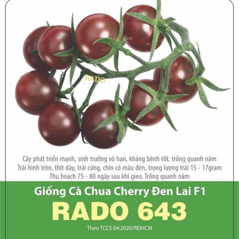 Hạt giống cà chua cherry đen F1 Rạng Đông RADO 643 - Gói 0.1 Gram