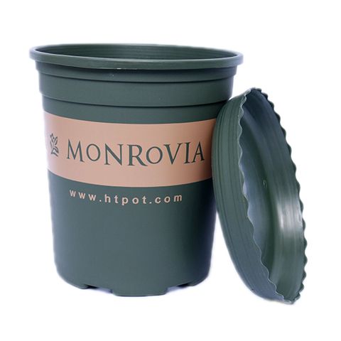 Chậu Monrovia hàng chuẩn màu xanh rêu