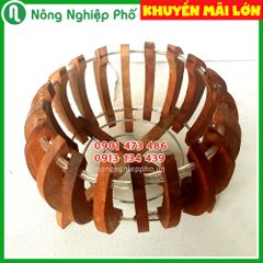 Chậu gỗ trồng lan cao cấp - hình bí nan đầu nhọn