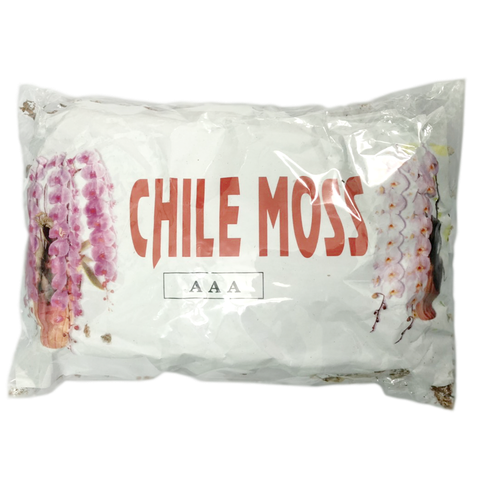 Dớn mềm chile moss trồng lan - Gói 100 gram