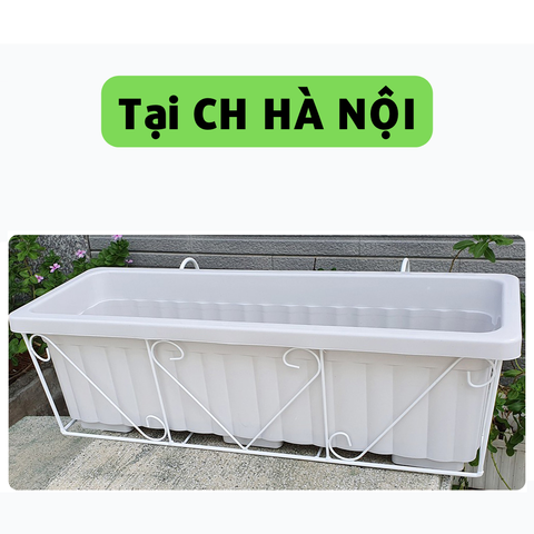 Combo Chậu trồng rau, hoa lan can màu trắng + Giá đỡ màu trắng - Tại CH Hà Nội