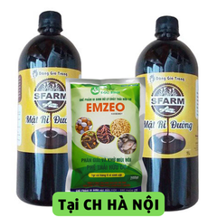 Combo bộ đôi 01 túi chế phẩm ủ rác và phân bón Emzeo 200gram và 02 chai mật rỉ đường loại 1 lít - Tại CH Hà Nội