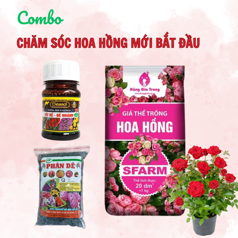 Combo chăm sóc hoa hồng mới bắt đầu - Tại CH Đà Nẵng