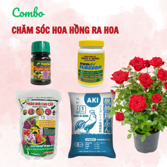 Combo chăm sóc hoa hồng ra hoa - Tại CH Hà Nội