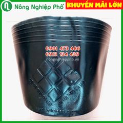 Chậu nhựa mềm (túi bầu ươm cây) trồng cây LD (ĐN)