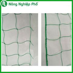 Lưới làm giàn leo màu xanh mắt 10x10cm ( Nhập khẩu Đài Loan )