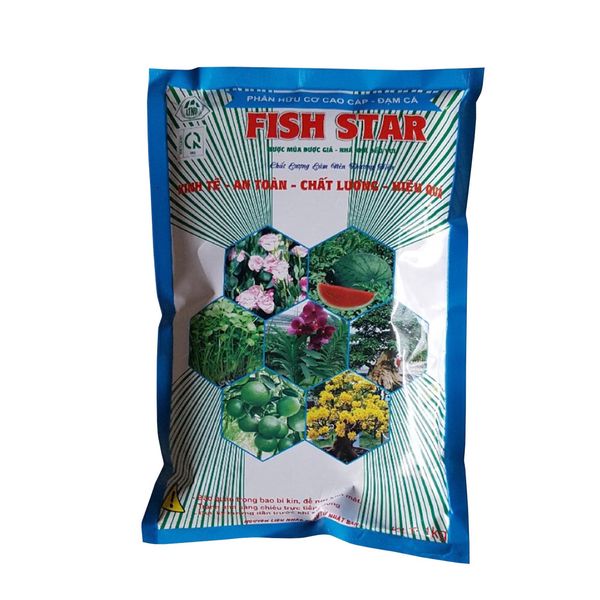 dam-ca-fish-star