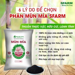 Phân mùn mía Sfarm