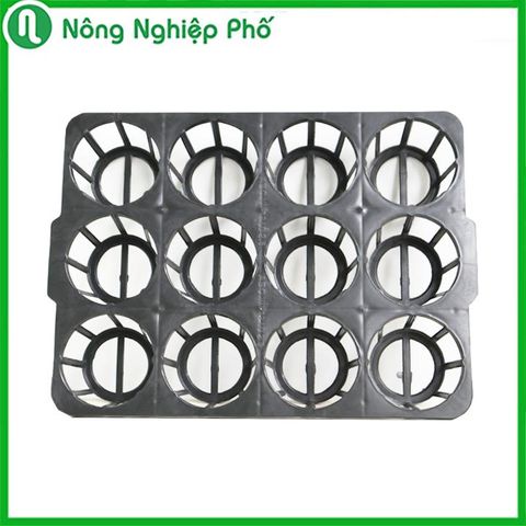 Khay nhựa đựng lan hồ điệp loại 3.5 inch ( 12 Lỗ )