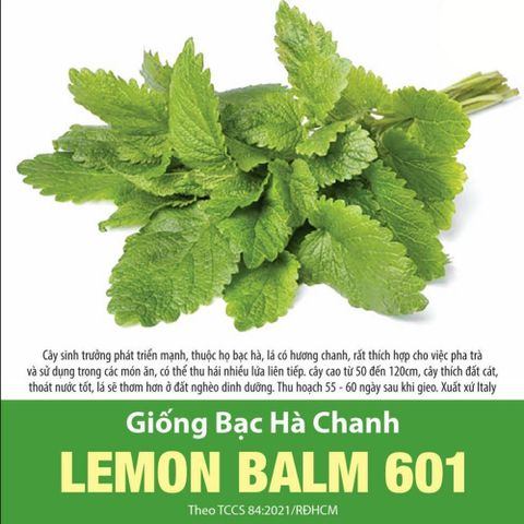 Hạt giống bạc hà chanh LEMON BALM 601 Rạng Đông