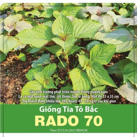 Hạt giống tía tô bắc RD70 Rạng Đông