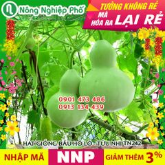 Hạt giống Bầu hồ lô ngắn ngày TN 242 - Gói 10 hạt