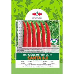 Hạt giống Ớt hiểm lai F1 Santa 8.0 East-West Seed (Hai Mũi Tên Đỏ) - Gói 10 hạt