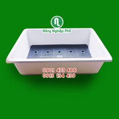 Khay (chậu) trồng rau hình chữ nhật 65x42x16H