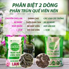 Phân trùn quế SFARM viên nén tan chậm dành cho Lan