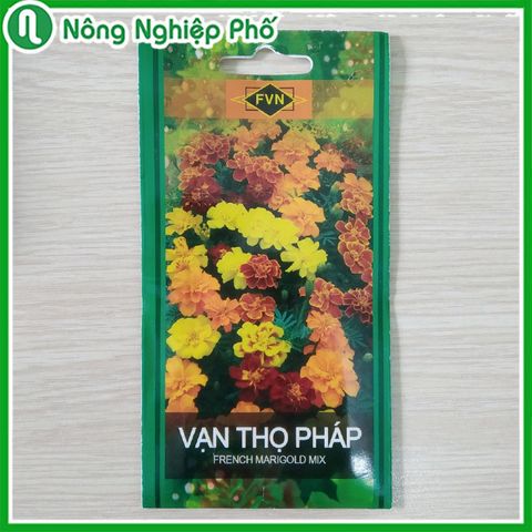 - Hạt giống hoa vạn thọ pháp FVN