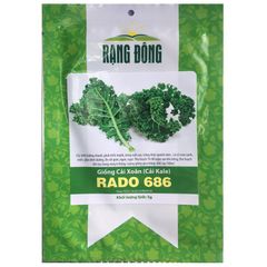 Hạt giống Cải Xoăn ( Cải Kale ) Rạng Đông RADO 686 - Gói 5gr