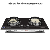  Bếp gas âm hồng ngoại Panworld PW-4203 - Hàng chính hãng 