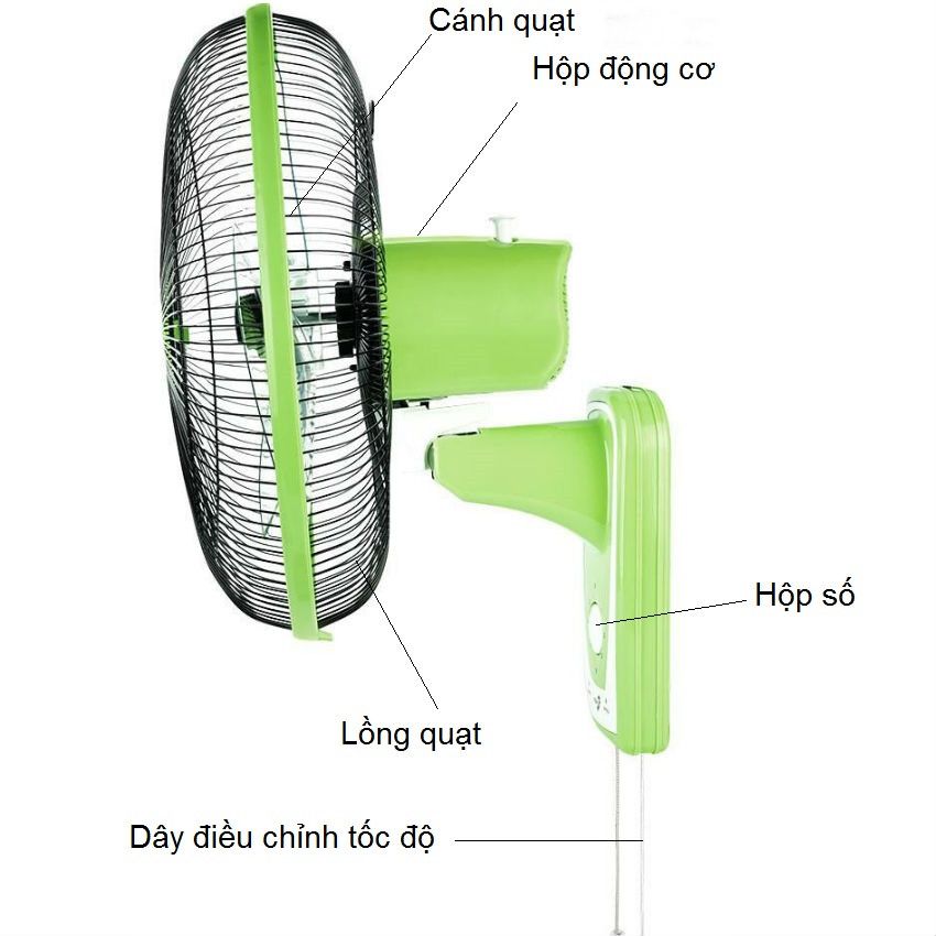 Quạt treo Asia VY357290/ VY357190/ VY357790 (mã cũ L16018) - 55w (Chuối non , Xám, Thiên Thanh)