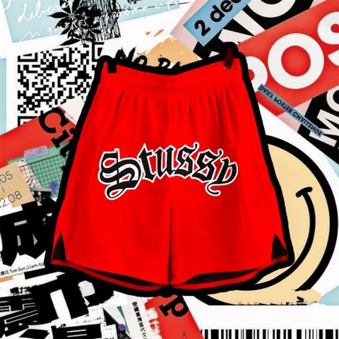  STUSSY SHORTS (BEST VERSION) 