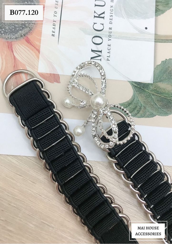 BELT B077