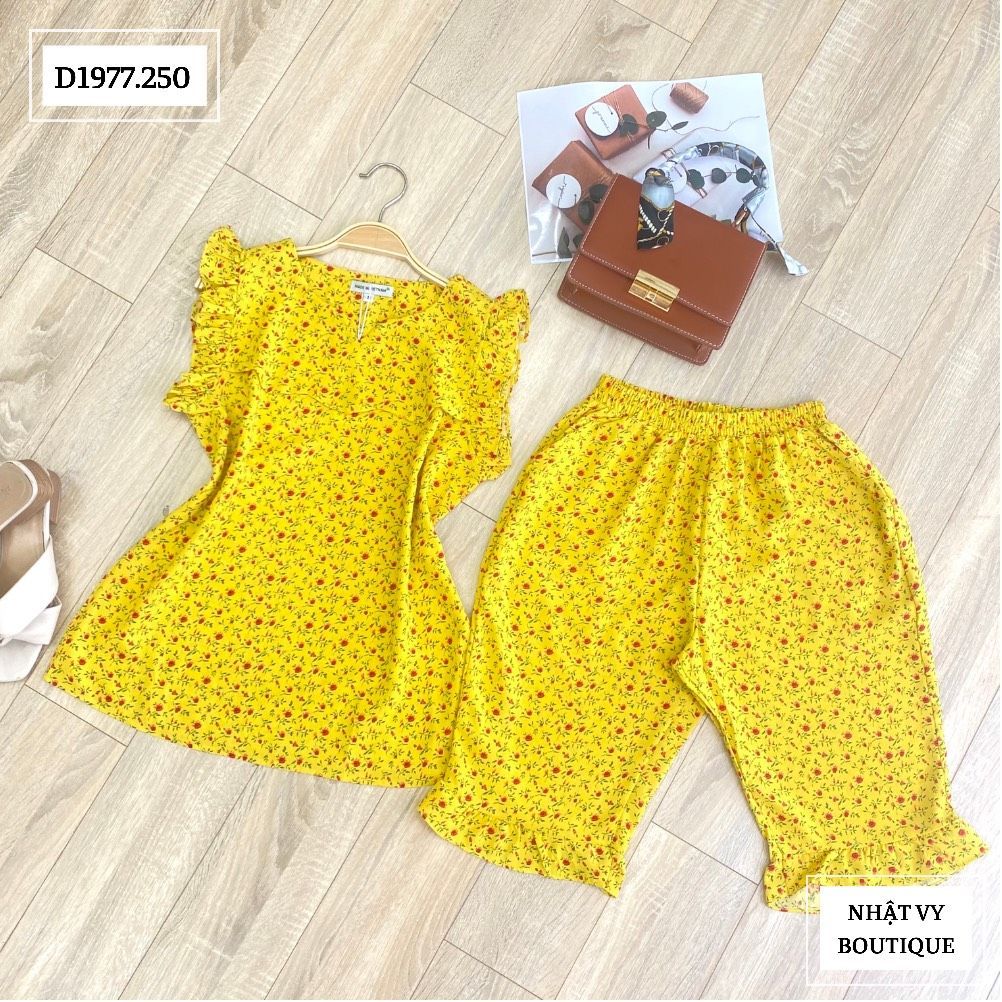 Set bộ lửng tay bèo cổ tròn khoét V - D1977