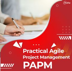 PAPM - Practical Agile Project Management