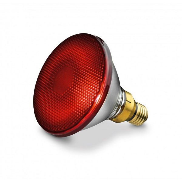 Bóng Đèn Hồng Ngoại Philips 150W