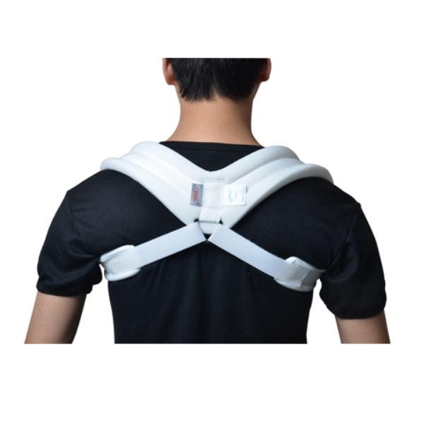 Đai Số 8 Orbe